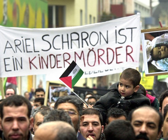 An unidentified child waves a Palestinian flag during a rally in Mainz, western Germany, Saturday, April 13, 2002. Nearly 2,000 demonstrators demanded a stop of the fightings in the Palestinian cities ...