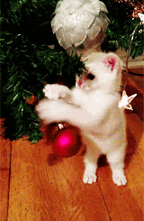 Animiertes GIF