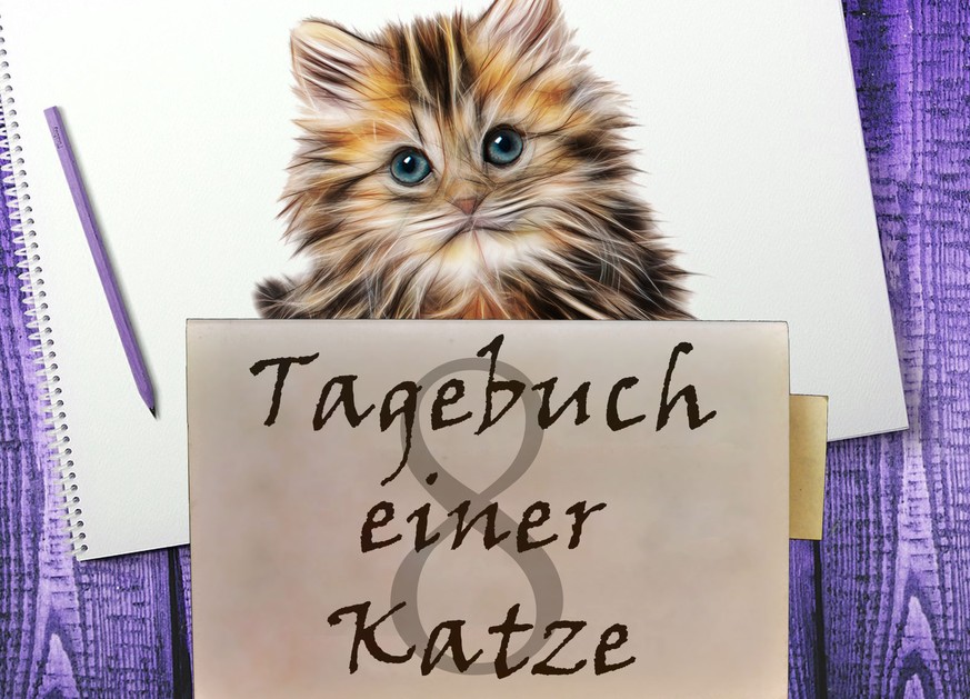 «Liebes Tagebuch, wir wurden unser Leben lang angelogen!»