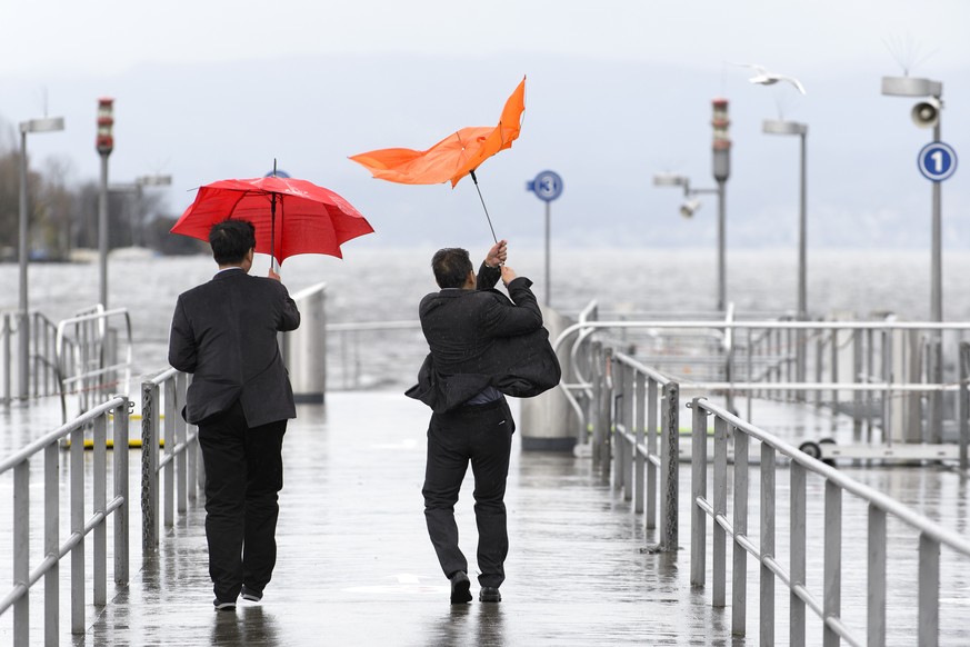 Wind und Wetter am Zürcher Bürkliplatz.&nbsp;