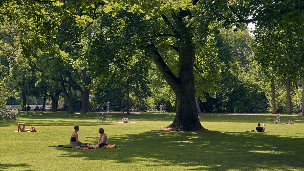 Bretonapark Frankfurt Rauszeit