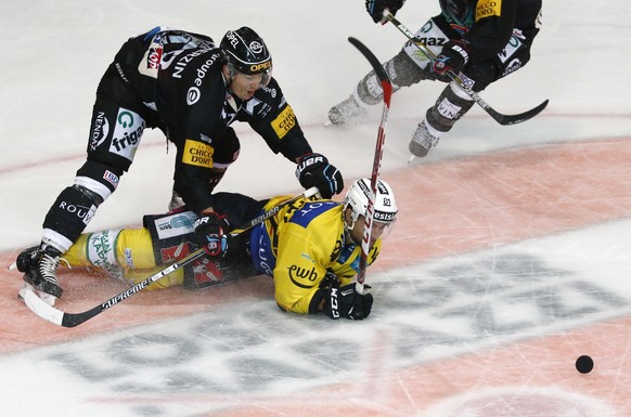 Fribourg behauptet mit dem Sieg gegen Bern die Leaderposition.