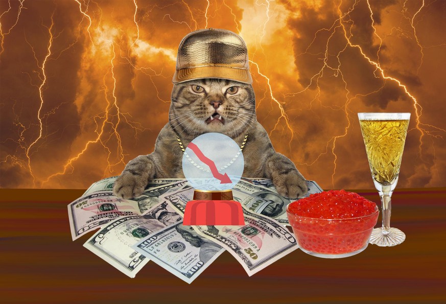 Isst die Katze dabei Kaviar und trinkt Champagner? Eventuell.