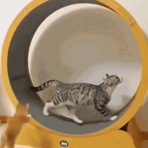 Animiertes GIF