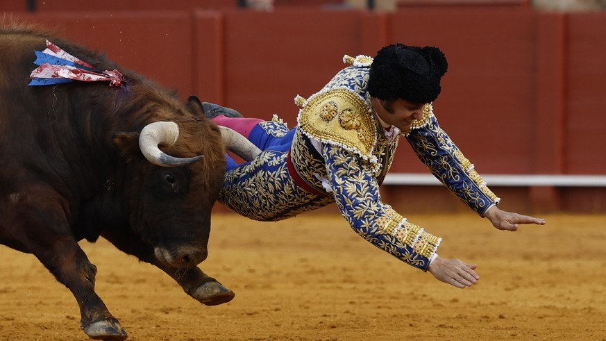 Schwere Verletzung in Sevilla – Stier spiesst Torero auf