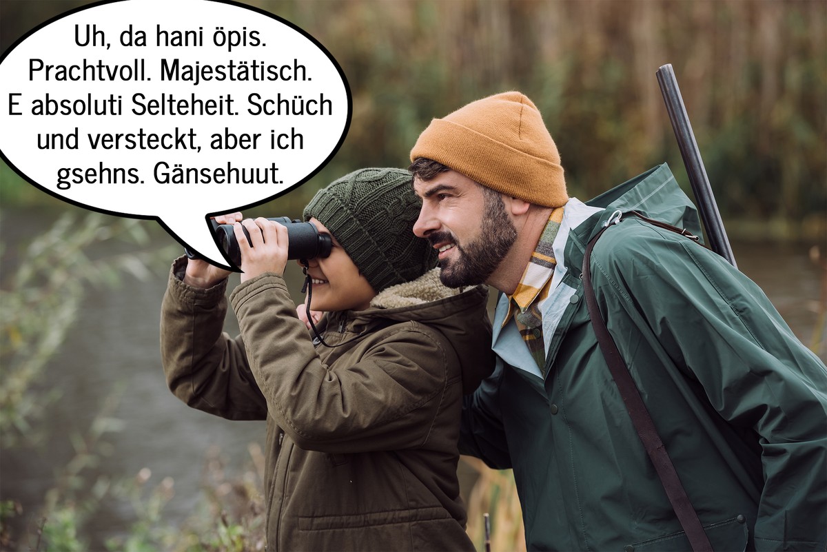Bild