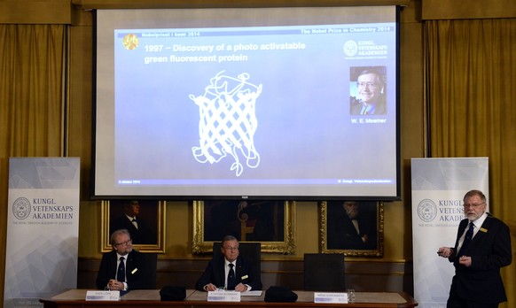 Pressekonferenz der Chemie-Nobelpreis-Verleihung in Stockholm.