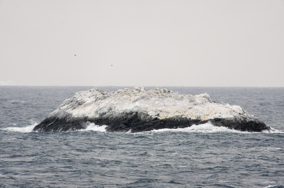 Die unkartierte Insel im Weddellmeer.