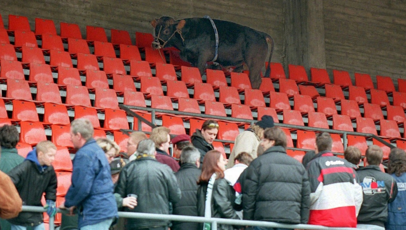 Besiktas Fans in Zürich