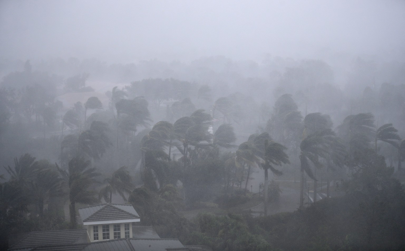 Palm trees blow in the wind as Hurricane Irma passes through Naples, Fla., Sunday, Sept. 10, 2017. (AP Photo/David Goldman)