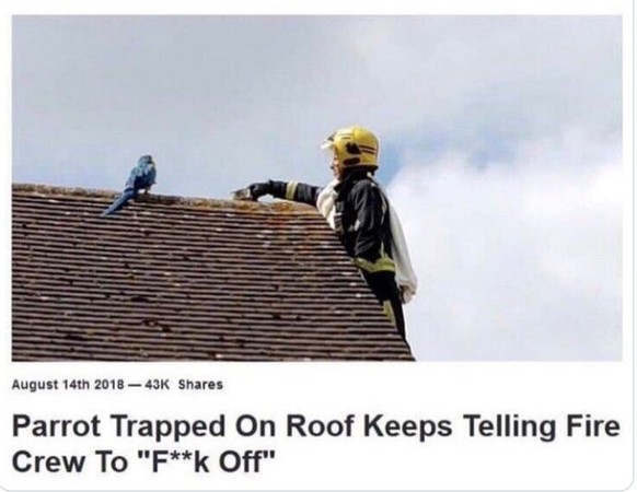 Funny headlines