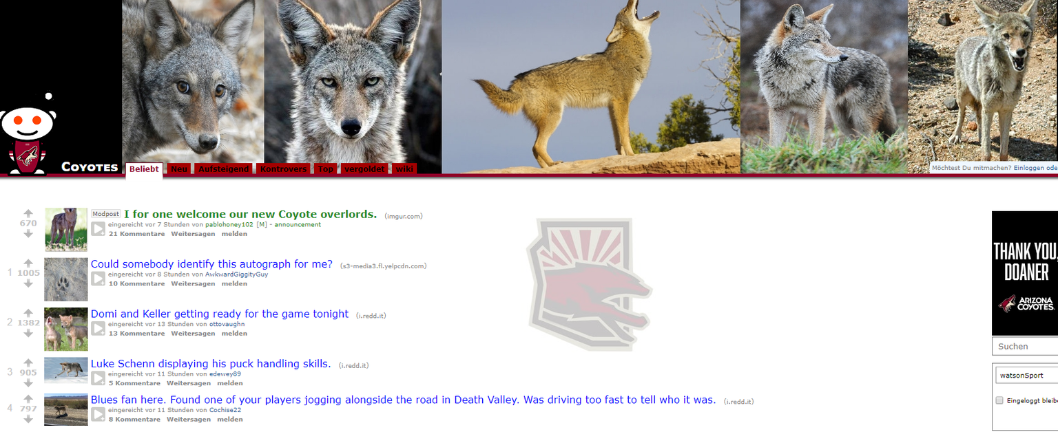 Die Fans der Arizona Coyotes sind über den Saisonstart ihrer Mannschaft derart enttäuscht, dass im offiziellen Subreddit nur noch Bilder von echten Kojoten zu finden sind.