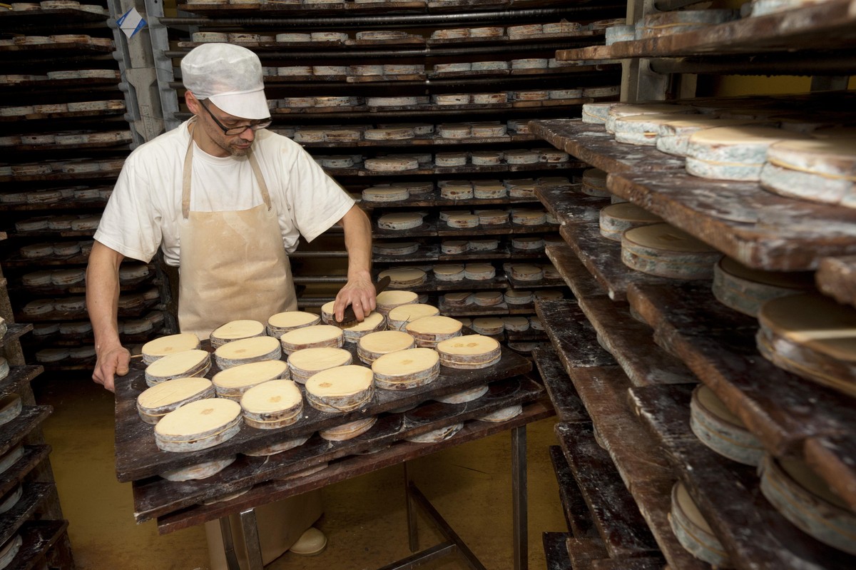 Fabrication du vacherin Mont-d'Or chez Christian Mignot, fabricant et affineur