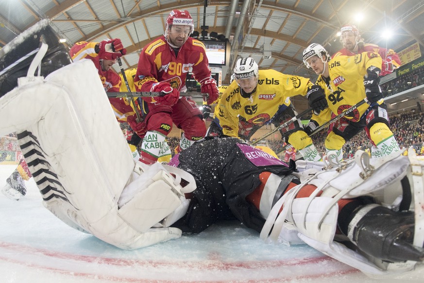 Tiger&#039;s Eric Himelfarb, Mitte, kaempft um den Puck, gegen Bern&#039;s Goalie Leonardo Genoni, Ramon Untersander, und Gaetan Haas, von links, waehrend dem Meisterschaftsspiel der National League,  ...