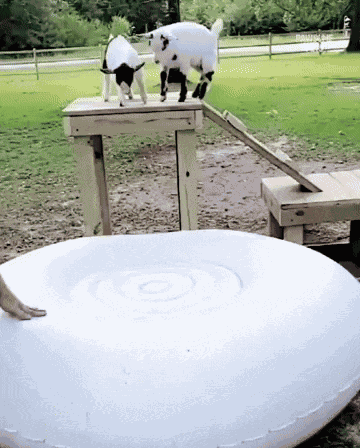 Animiertes GIF
