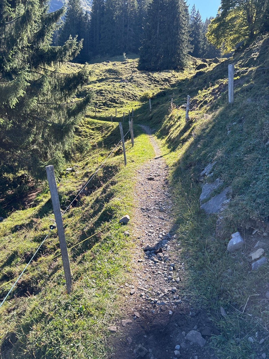 Filzbach Glarus Unfall