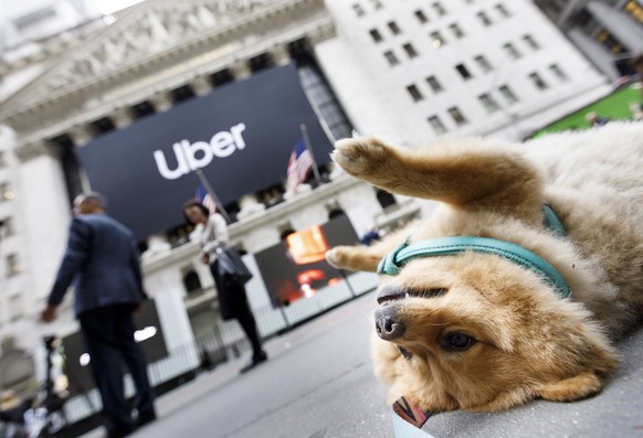Das riesige Firmenbanner an der New Yorker Börse und ein kleiner Hund.