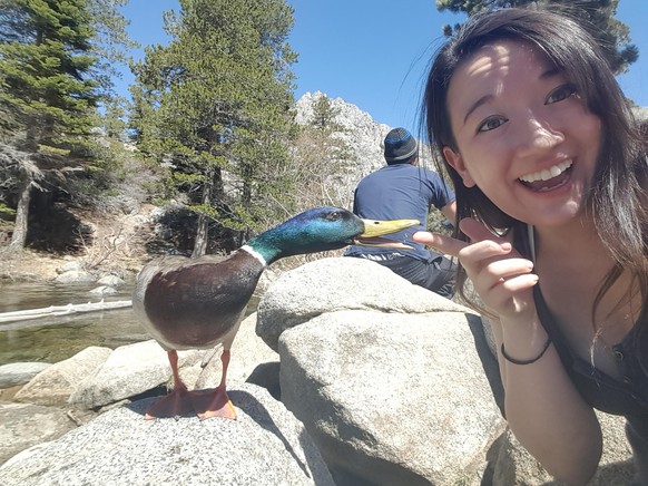 Ente Selfie
Cute News
http://imgur.com/gallery/mVXGScr