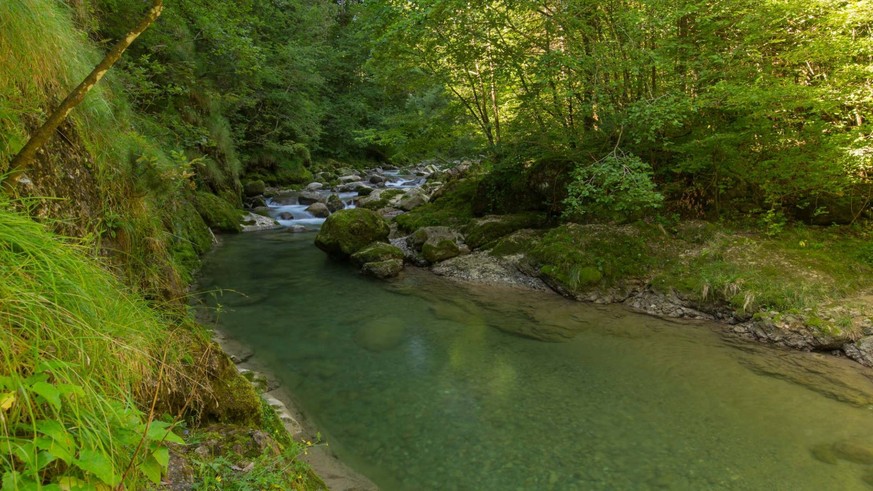 Gewässerperlen Schweiz wilde naturnahe Schweizer Flüsse unberührt Flusswanderungen Rauszeit Weissbach