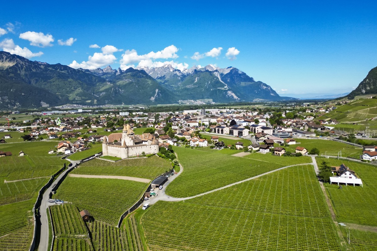 Une vue du vignoble autour du Chateau d'Aigle dans le Chablais le mercredi 14 mai 2025 a Aigle. (KEYSTONE/Noemi Cinelli)