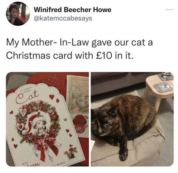 Lustige Briten: Katze bekommt Geld zu Weihnachten
