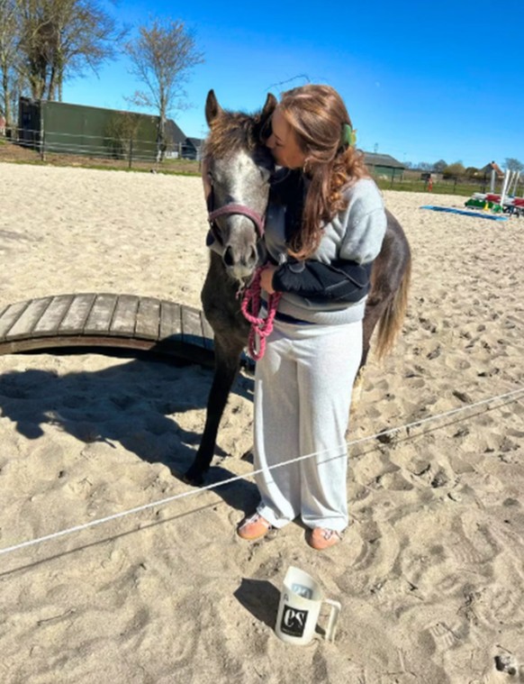 Das Pony der Familie Sohl wird an die Raubtiere im Zoo in Aaalborg verfüttert.