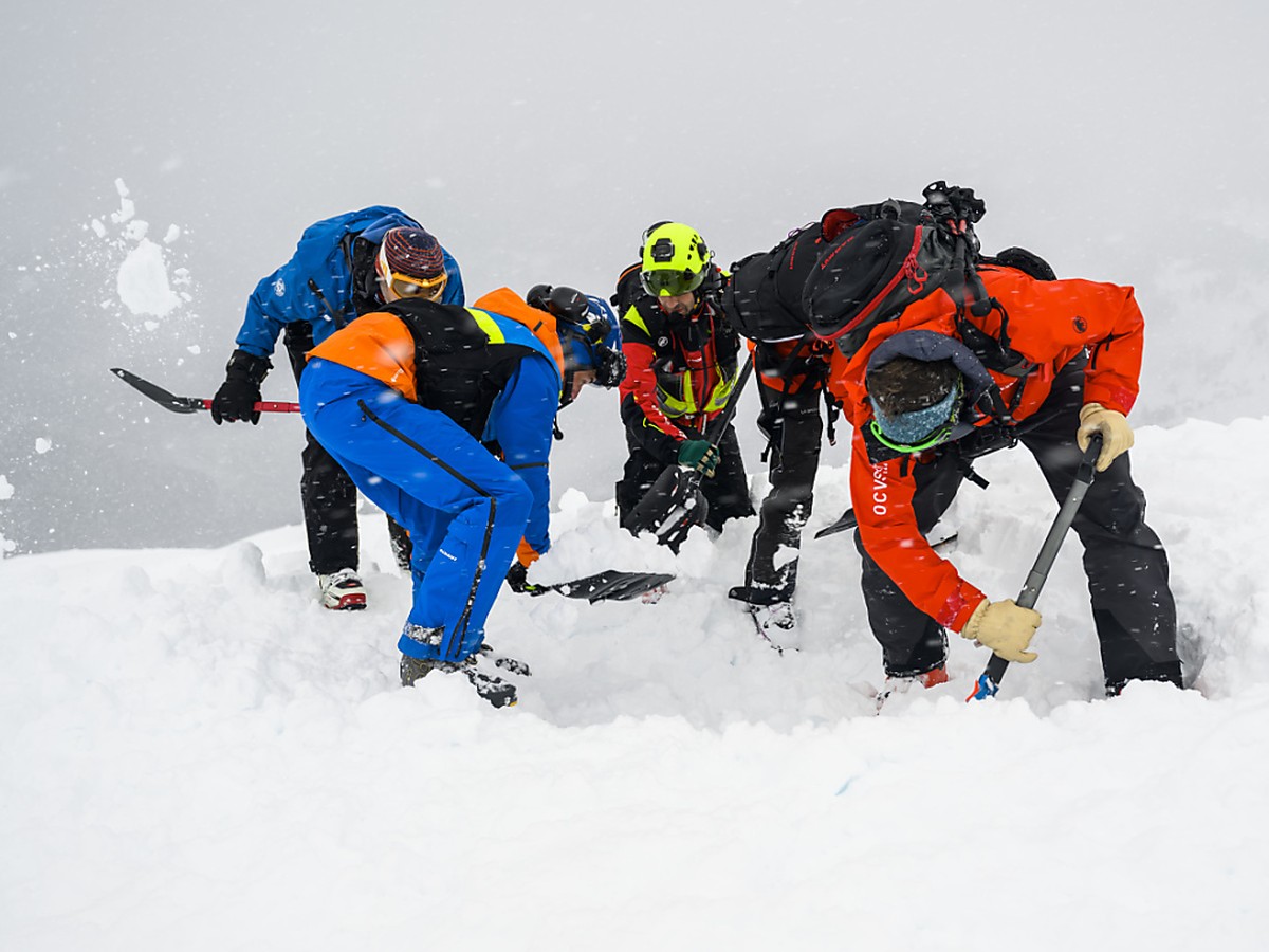 L'hiver "blanc en haut, vert en bas" a tout de m