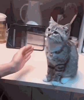 Animiertes GIF
