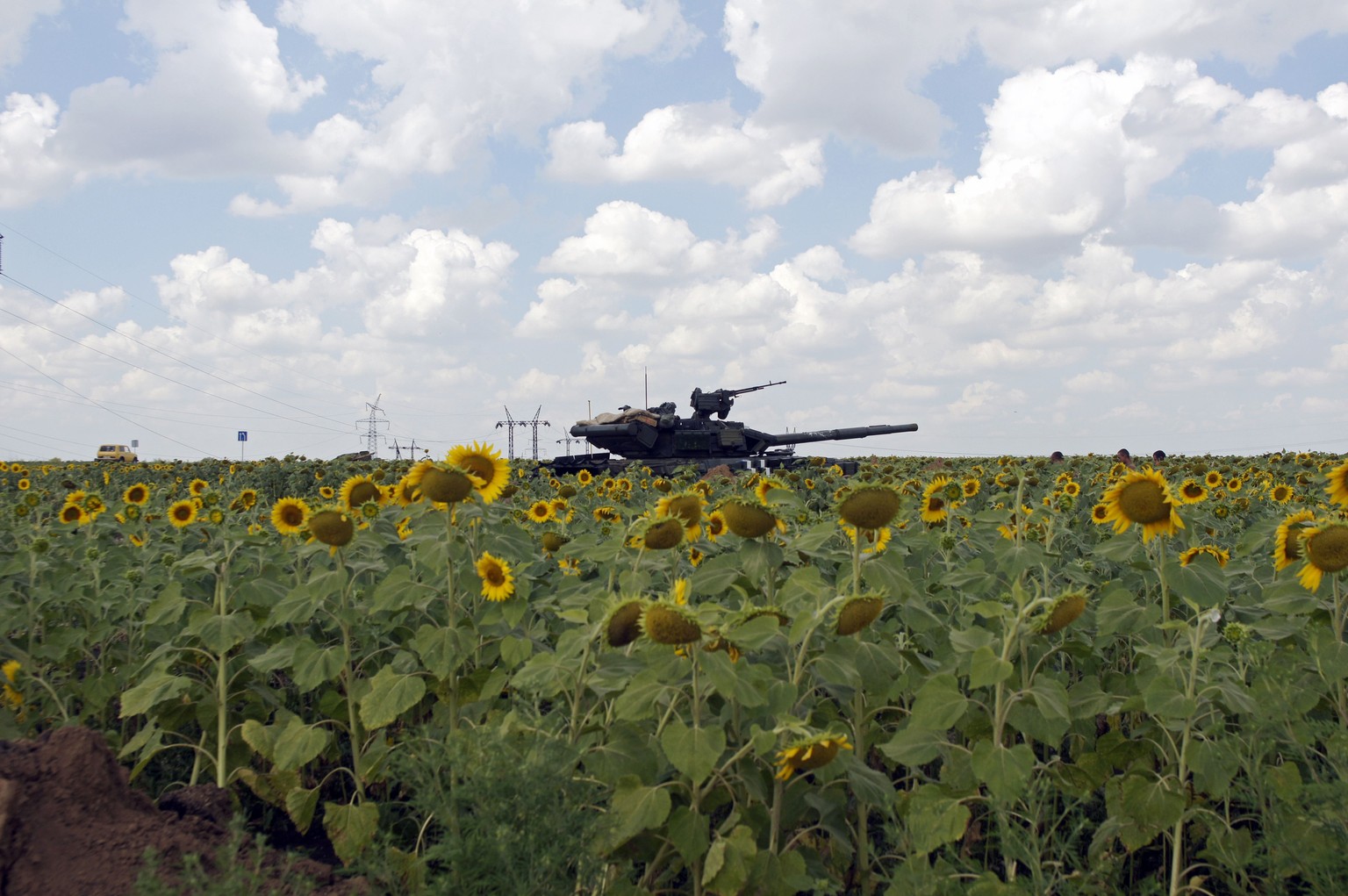 Ukrainischer Panzer inmitten eines Sonnenflumenfeldes bei&nbsp;Makejewka.