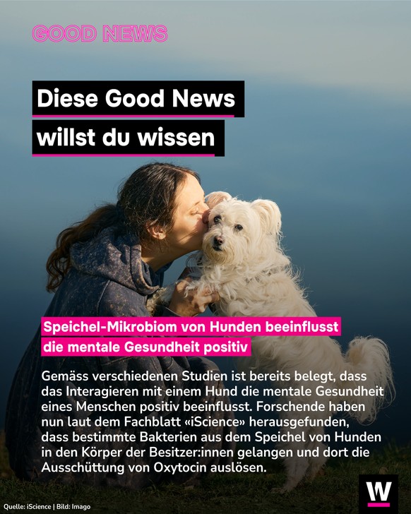 <p>Bakterien im Speichel von Hunden beeinflussen unsere mentale Gesundheit positiv.</p>
