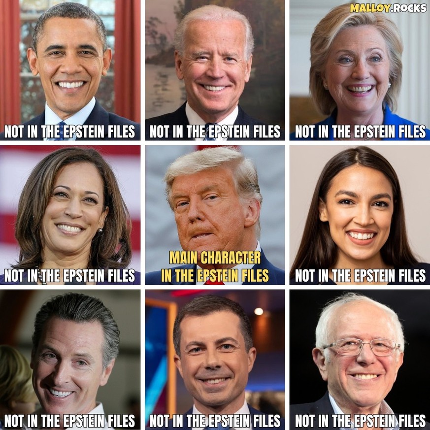 Meme zu Trump und Epstein Files