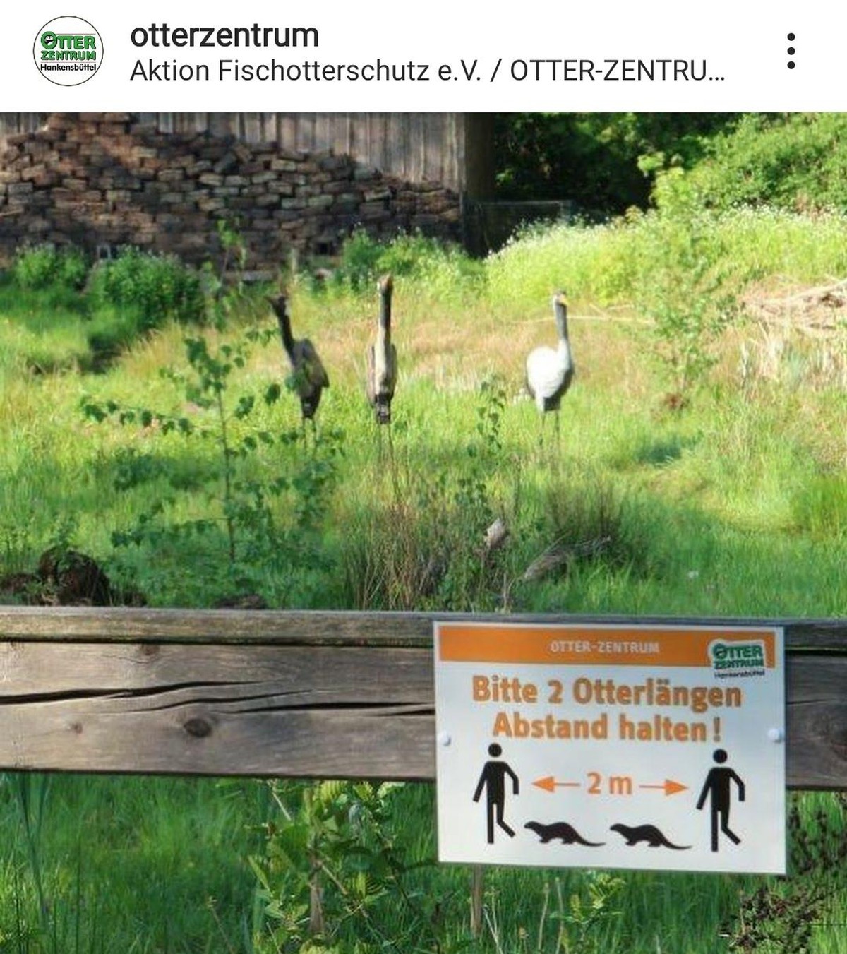 Keine Zeit fГјr intellente Titel: PICDUMP! рџЏ„вЂЌв™ЂпёЏ
Falls ihr mГјhe habt, die 2m einzuschГ¤tzen, hier eine Hilfestellung vom Otter-Zentrum HankensbГјttel