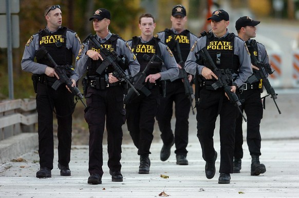 Bis zu 1000 Polizisten waren an der Suche beteiligt.