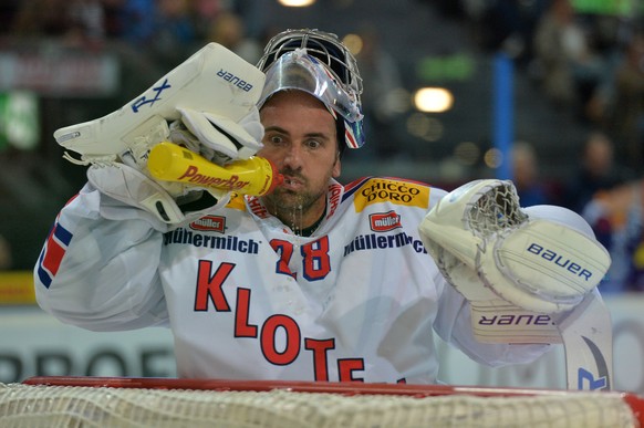 Führt Gerbers Weg nach der Goaliekarriere zurück zu den SCL Tigers?&nbsp;