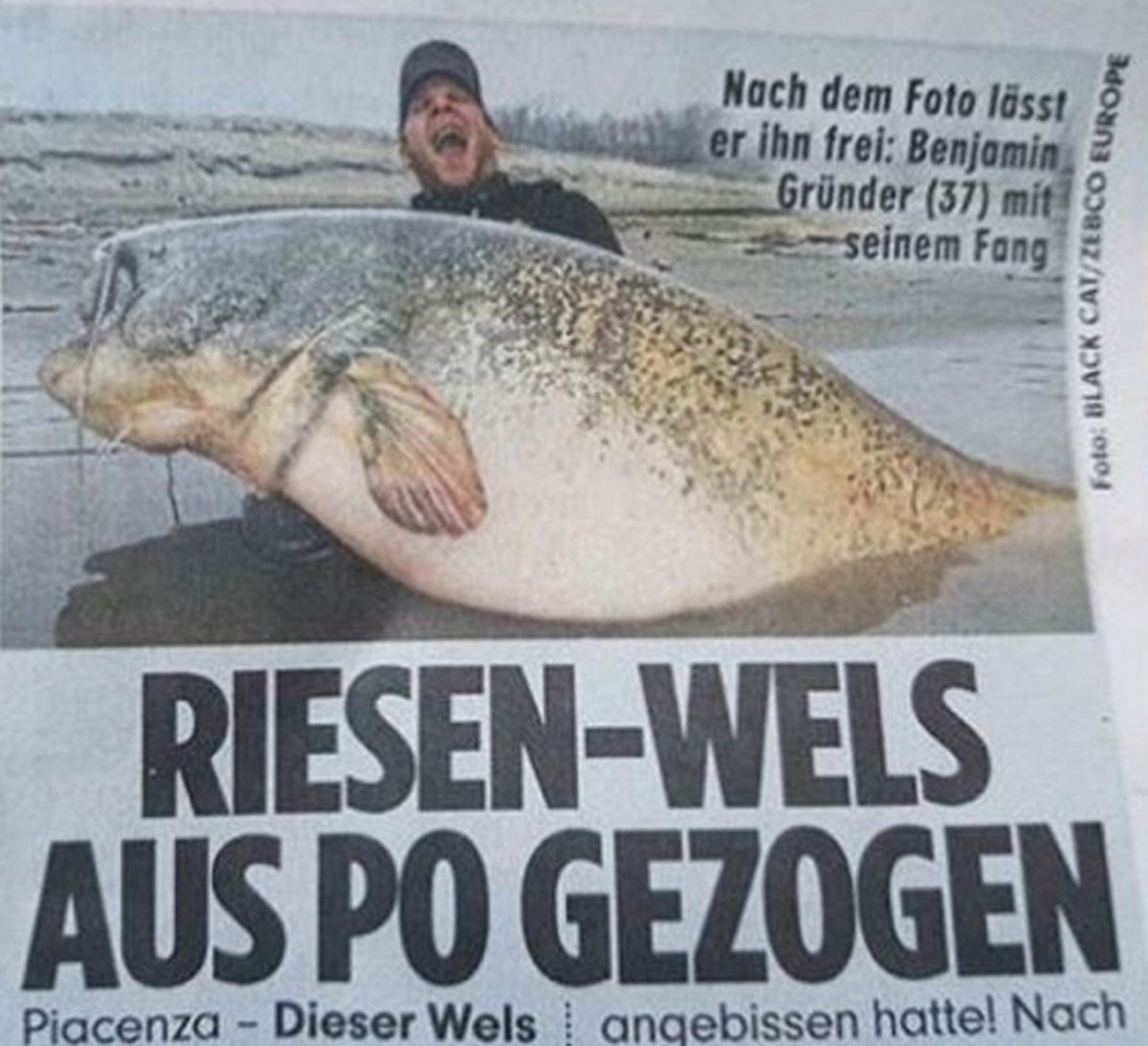 Ich bin wieder da! Hallo. PICDUMP. рџҐі
Rosen sind rot,
Lina machte blau, 
Du hast uns gefehlt, ungelogen...