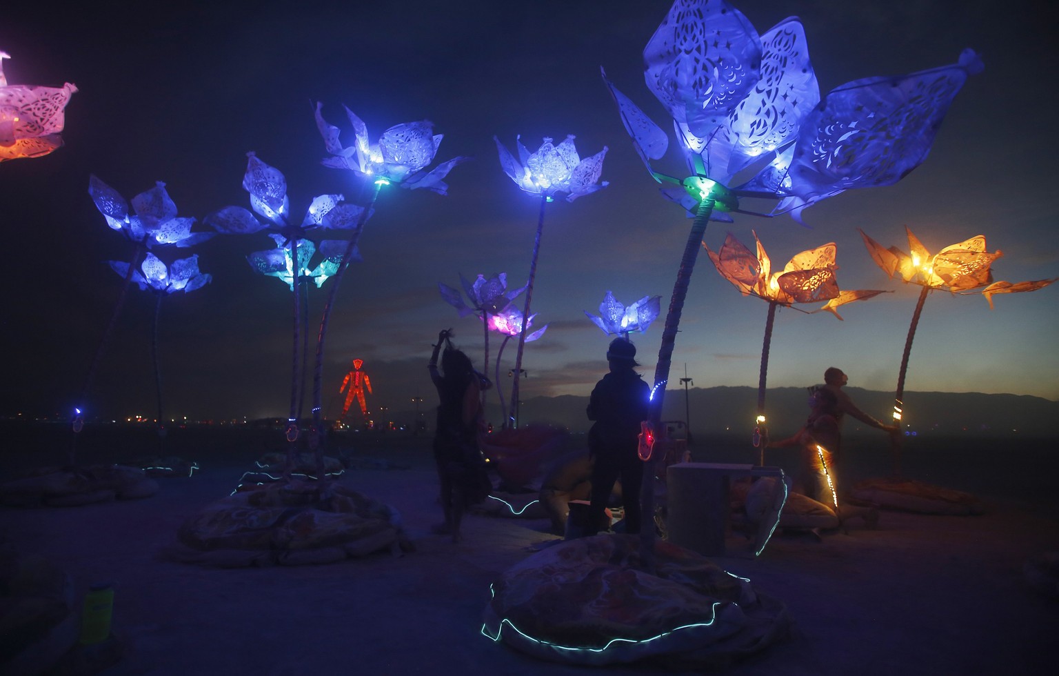 The art installation Pulse &amp; Bloom is seen at nigth during the Burning Man 2014 &quot;Caravansary&quot; arts and music festival in the Black Rock Desert of Nevada, August 29, 2014. Over 65,000 peo ...