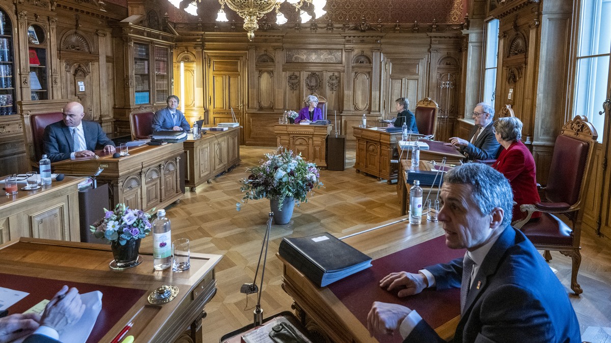 Schwarz Group visual data 6