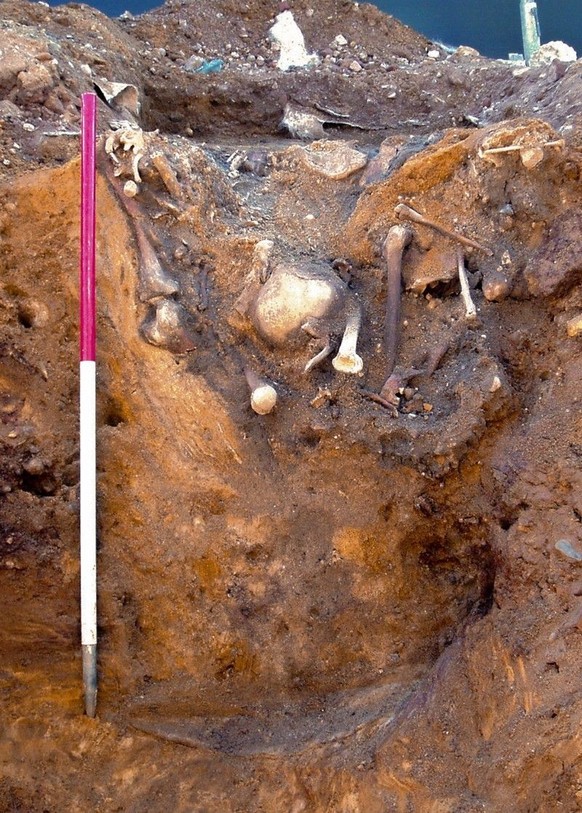 Massaker von Norwich: Menschliche Überreste am Grund des Brunnens.