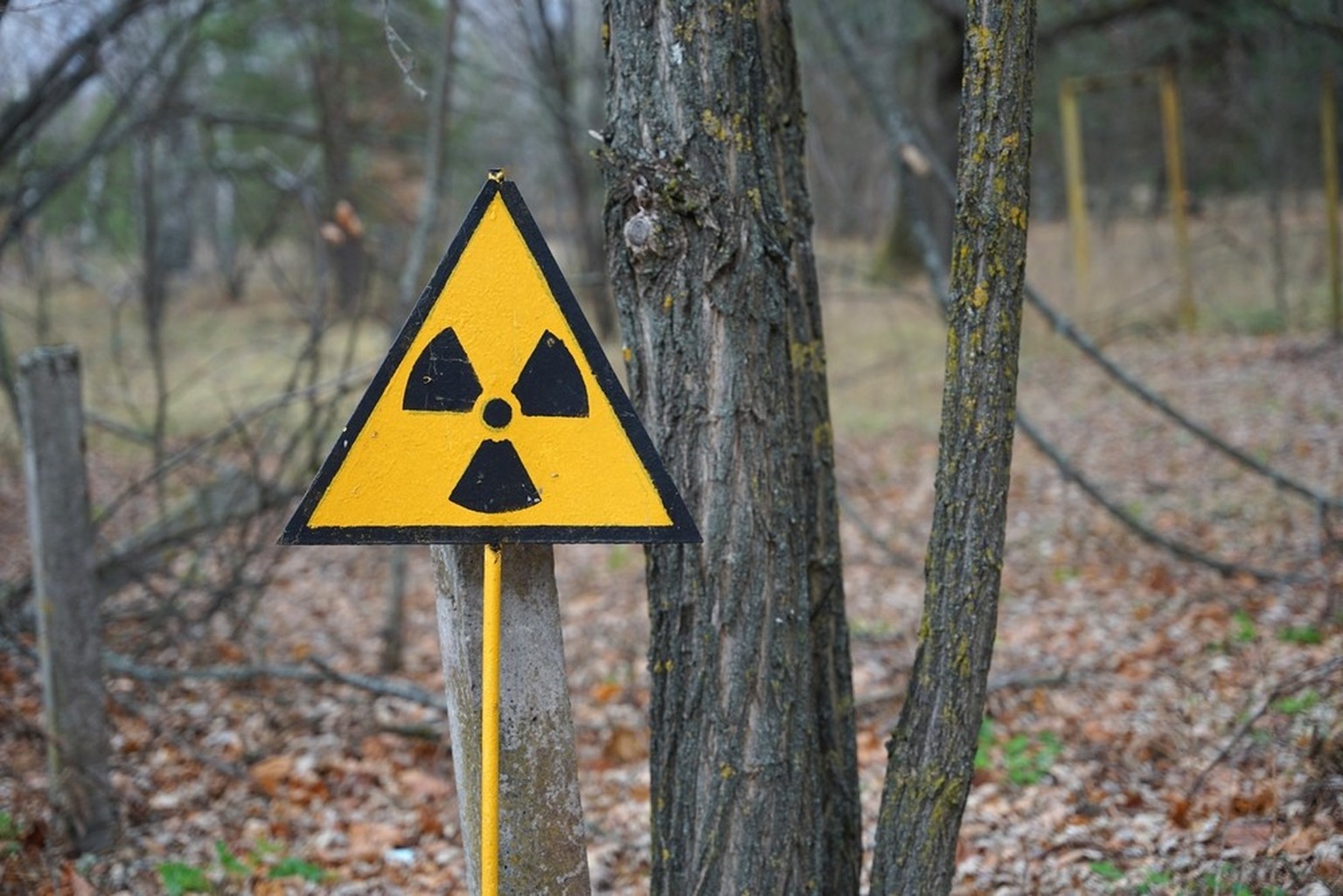 Exclusion zone around the Chernobyl nuclear power plant.