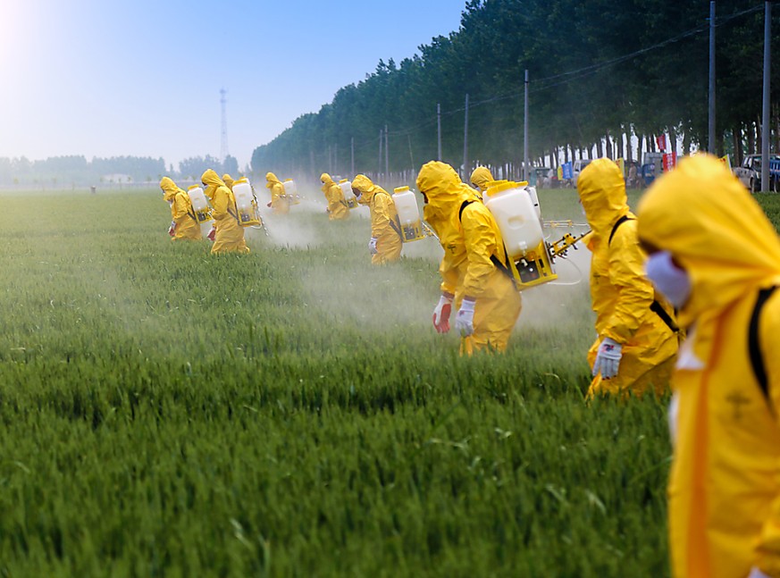 Monokulturen und Pestizide: die veränderte Landnutzung gehört mit Fischerei, Klimawandel und Verschmutzung zu den Hauptursachen für den Niedergang der Artenvielfalt.