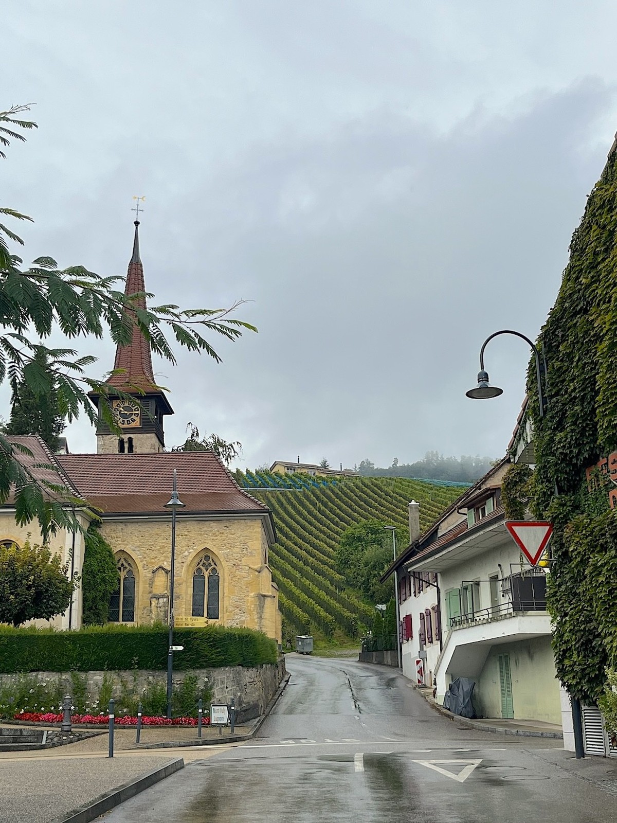 A l'occasion de la Fête des vendanges, watson est allé à la rencontre de Fabrice Simonet, vigneron dans le Vully fribourgeois.