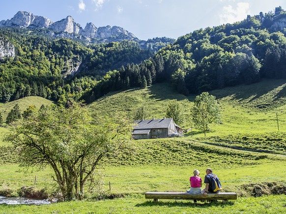 Die Innerrhoder Behörden haben für Wanderer den Zugang zum Alpsteingebiet gesperrt. (Archivbild)