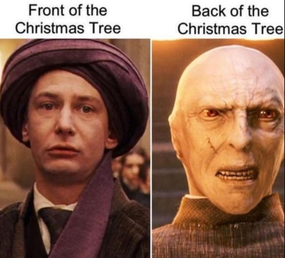 Harry Potter - The best memes about the film series