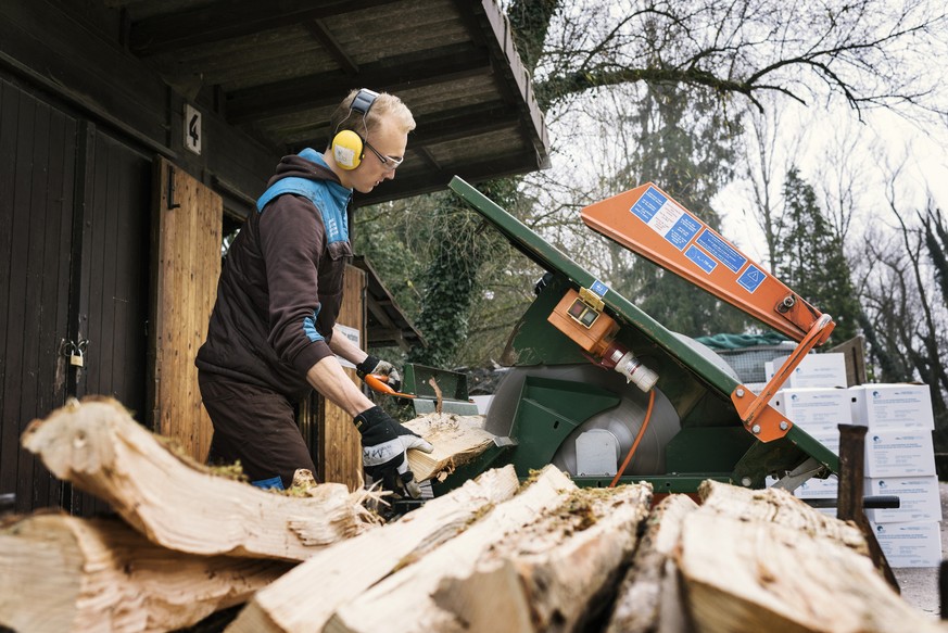 ZUM ZIVILDIENST TAETIGKEITSBEREICH UMWELT- UND NATURSCHUTZ STELLEN WIR IHNEN HEUTE, DIENSTAG, 24. JANUAR 2017, FOLGENDES BILDMATERIAL ZUR VERFUEGUNG --- An alternative civilian service employee saws ...