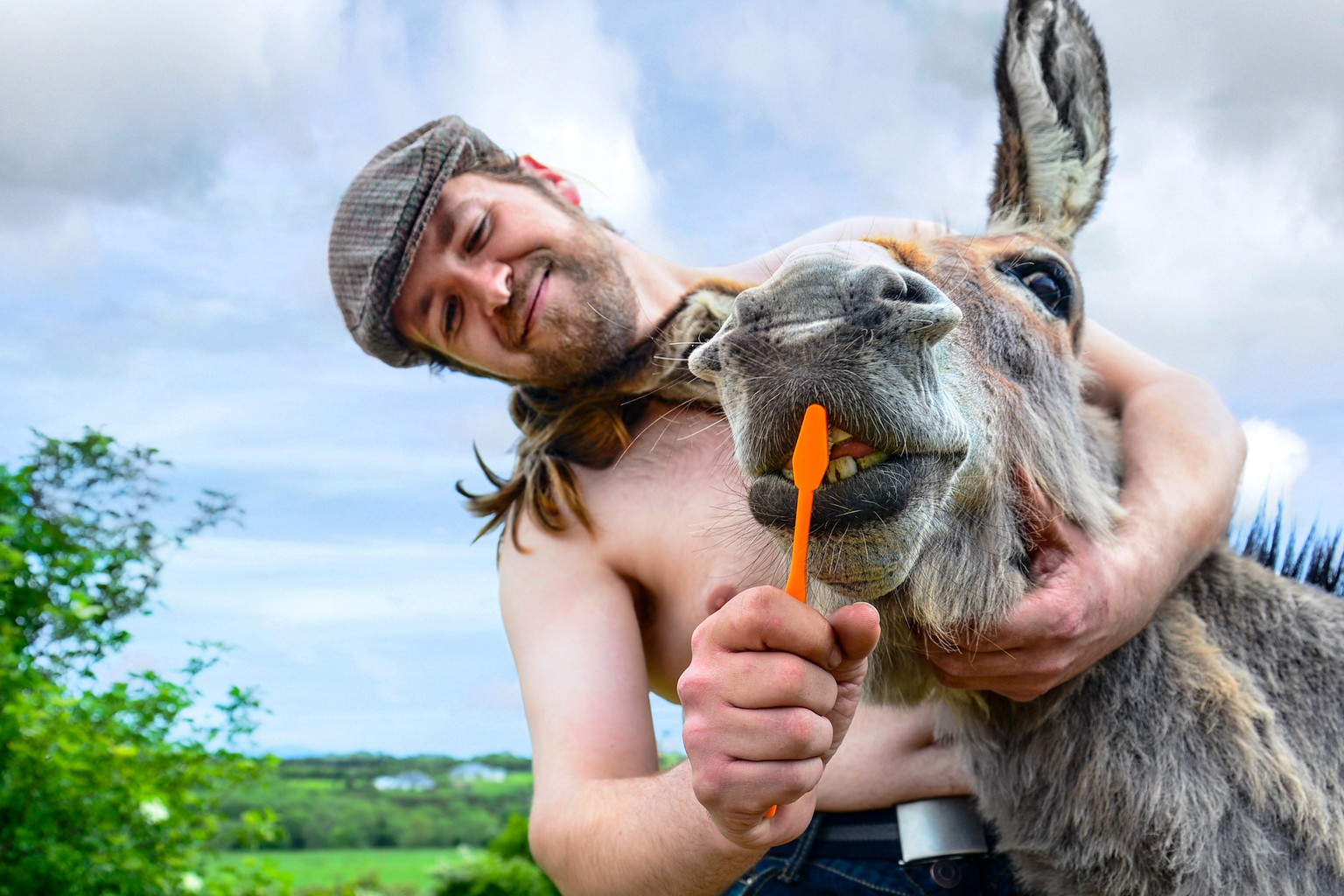 Irish Farmers Calendar 2019 Irland bauernkalender https://farmercalendar.com