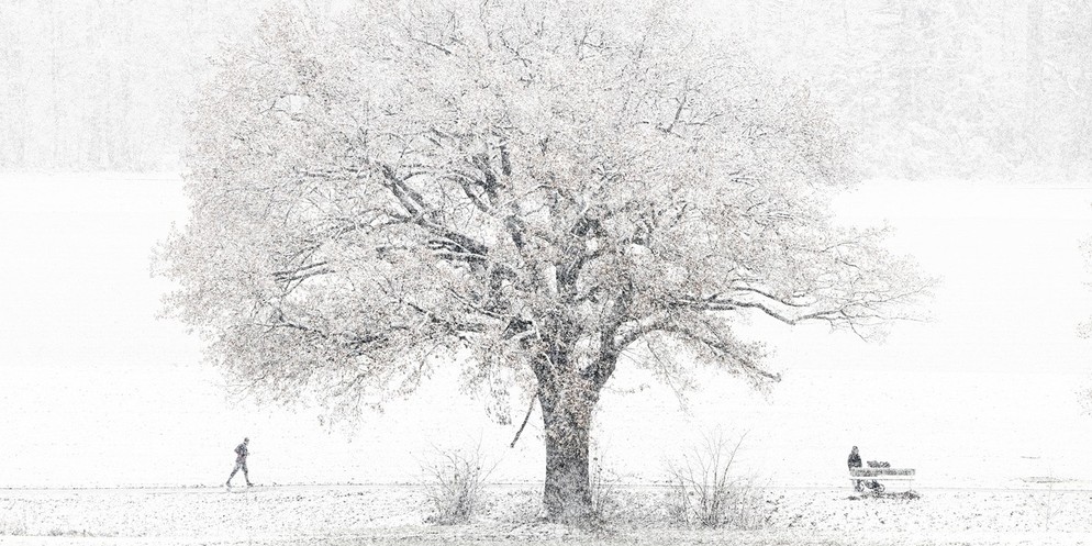 In den kommenden Tagen wird es in Teilen der Schweizer Berge viel Schnee geben. Gemäss Wetterprognose ist vor allem die Ostschweiz betroffen. Aber auch in der Region Zürich soll es winterlich werden.