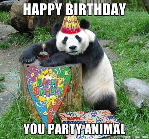 Du, wenn du darauf wartest, dass endlich der PICDUMP kommt
Haaaaaaapy birthday Pascal 🎉🎉🎉

Wuee super gemacht Loro, hättest auch ruhig deinen bühnenauftritt vom Gurten mithinein nehmen können :)
 ...
