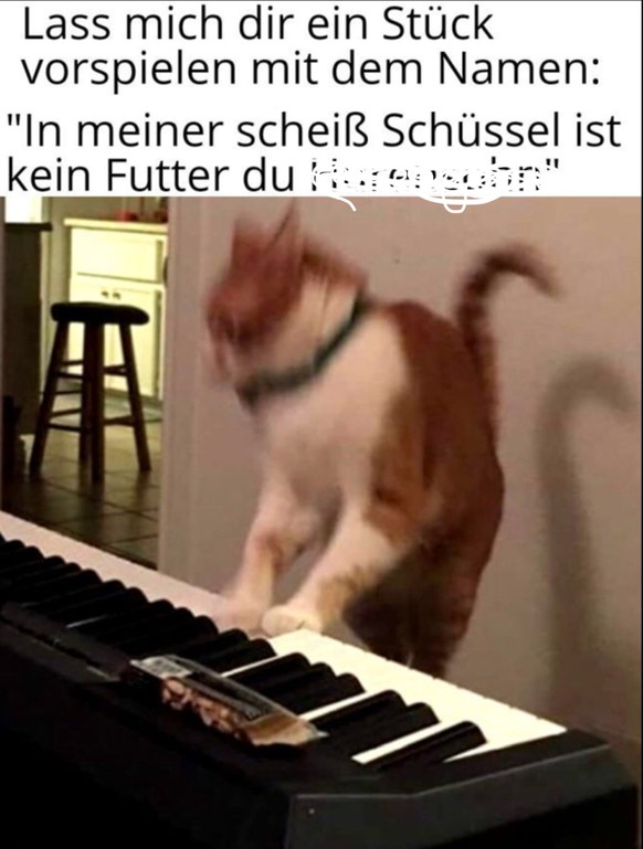 Heiss. Picdump. Schwitzen.
Hallo. Darf ich wieder Kommentare schreiben? Ich ändere mich auch.