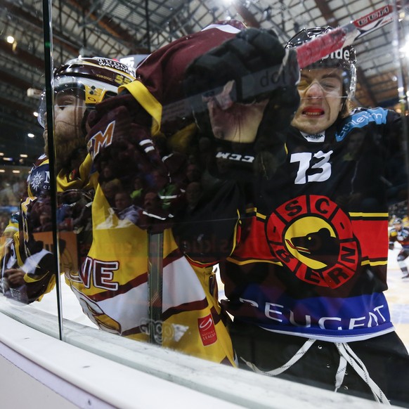 Plexiglas-Knutscherei: Berns Luca Hischier im Kampf mit Servettes Goran Bezina.