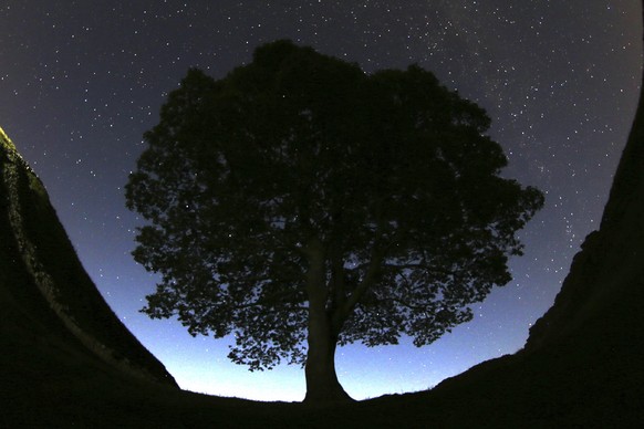 FILE - A general view of the stars above Sycamore Gap prior to the Perseid Meteor Shower above Hadrian&#039;s Wall near Bardon Mill, England, Wednesday, Aug. 12, 2015. Two men have been charged with c ...
